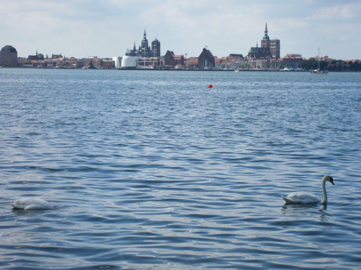 Sundblick Apartment *