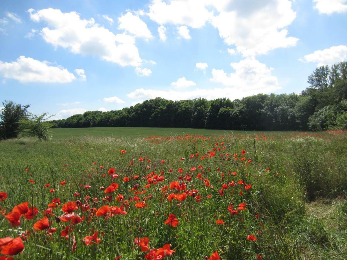 Sundblick Altefähr